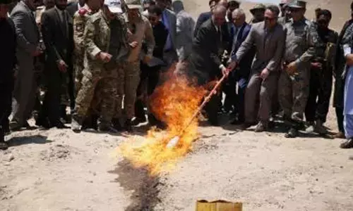 Drug seized, drug trafficker detained in western Afghanistan