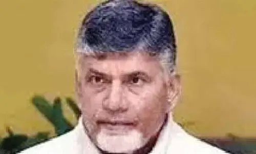Naidu urges TDP leaders to back Pedala Sevalo drive
