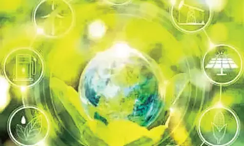 Eco-friendly paths for a healthier planet