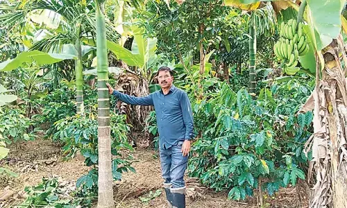 Hard work transforms barren land: The inspiring journey of Harapalli Ravindra