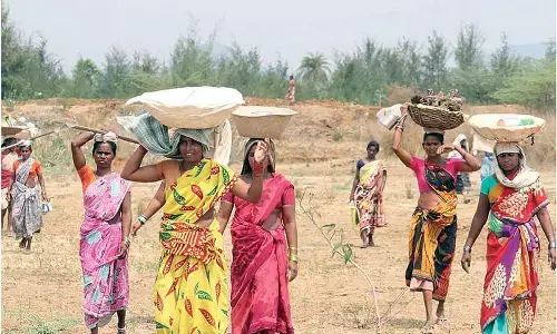 14.2 lakh MGNREGA workers dropped during e-KYC drive