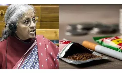Crackdown On Pan Masala, Gutka: FM introduces 2 bills in LS