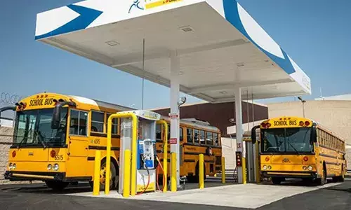 Representational Image