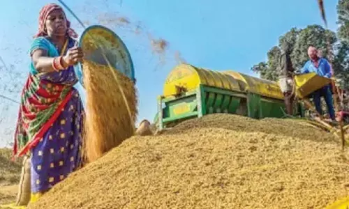 Yogi orders expansion of paddy purchase centres to 5,000