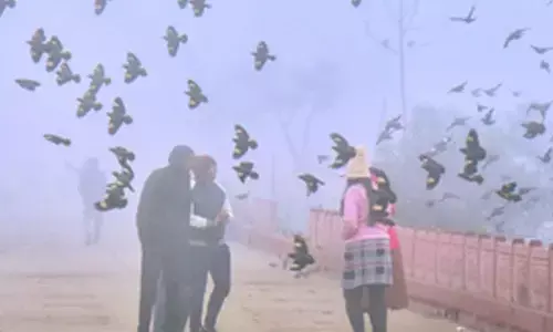 Cold wave alert in Rajasthan; temperatures drop below 10 degrees Celsius in several cities