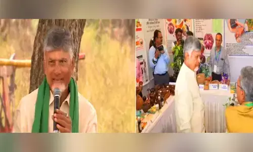 CM Chandrababu Engages with Farmers in Nallajarla