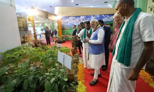 Will continue to make agriculture productive, sustainable: PM Modi on Indias push for natural farming