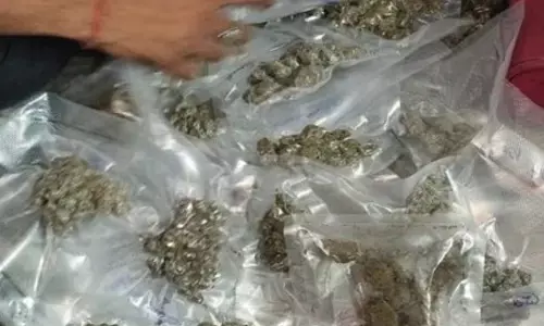Delhi Police seizes 51.5 kg ganja, cash after busting interstate drug network