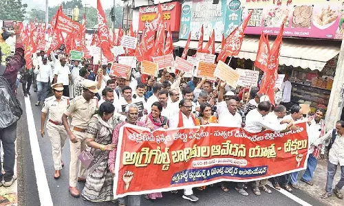 AgriGold victims stage massive protest seeking justice