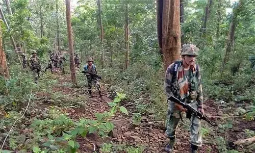 12 Naxals, 3 cops killed in encounter in Bijapur district