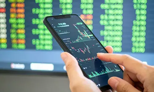 Domestic investors pour $81.3 billion into Indian markets in 2025 to date