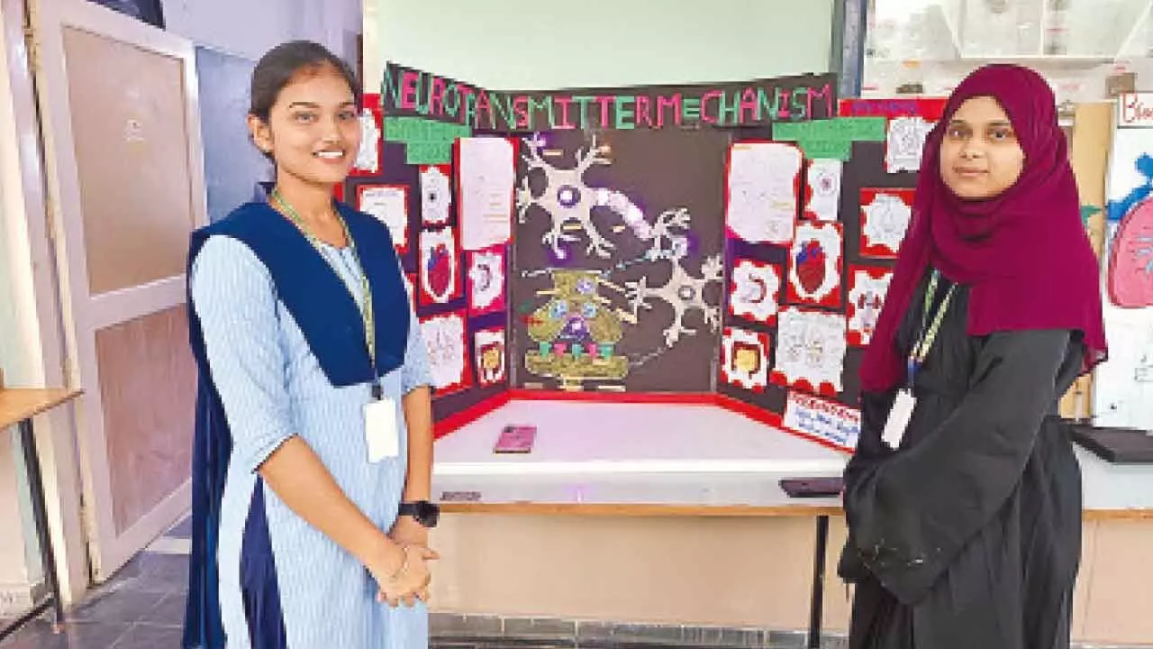 Cultural activities mark national pharmacy week celebrations Cultural activities mark national pharmacy week celebrations