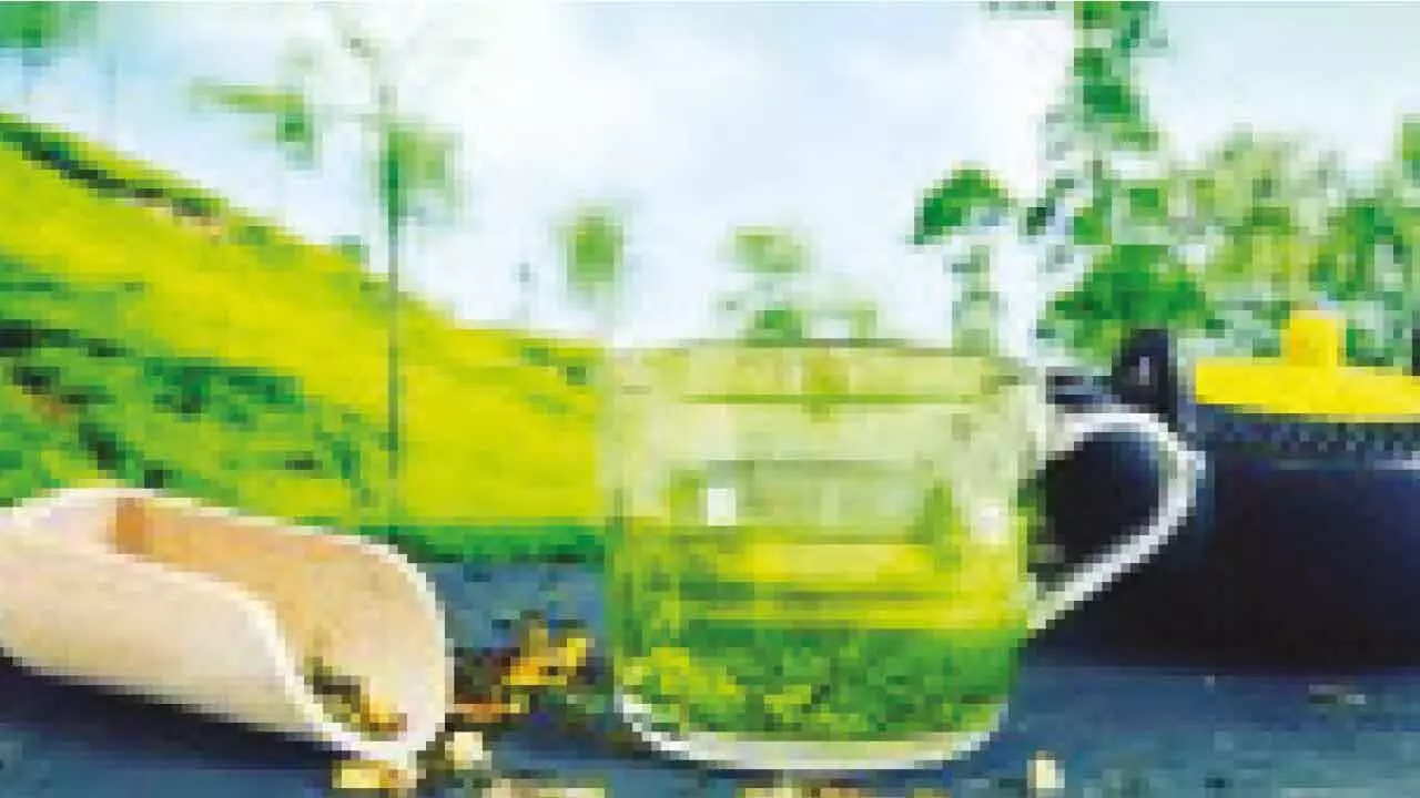 India seeks bigger slice in China’s tea market