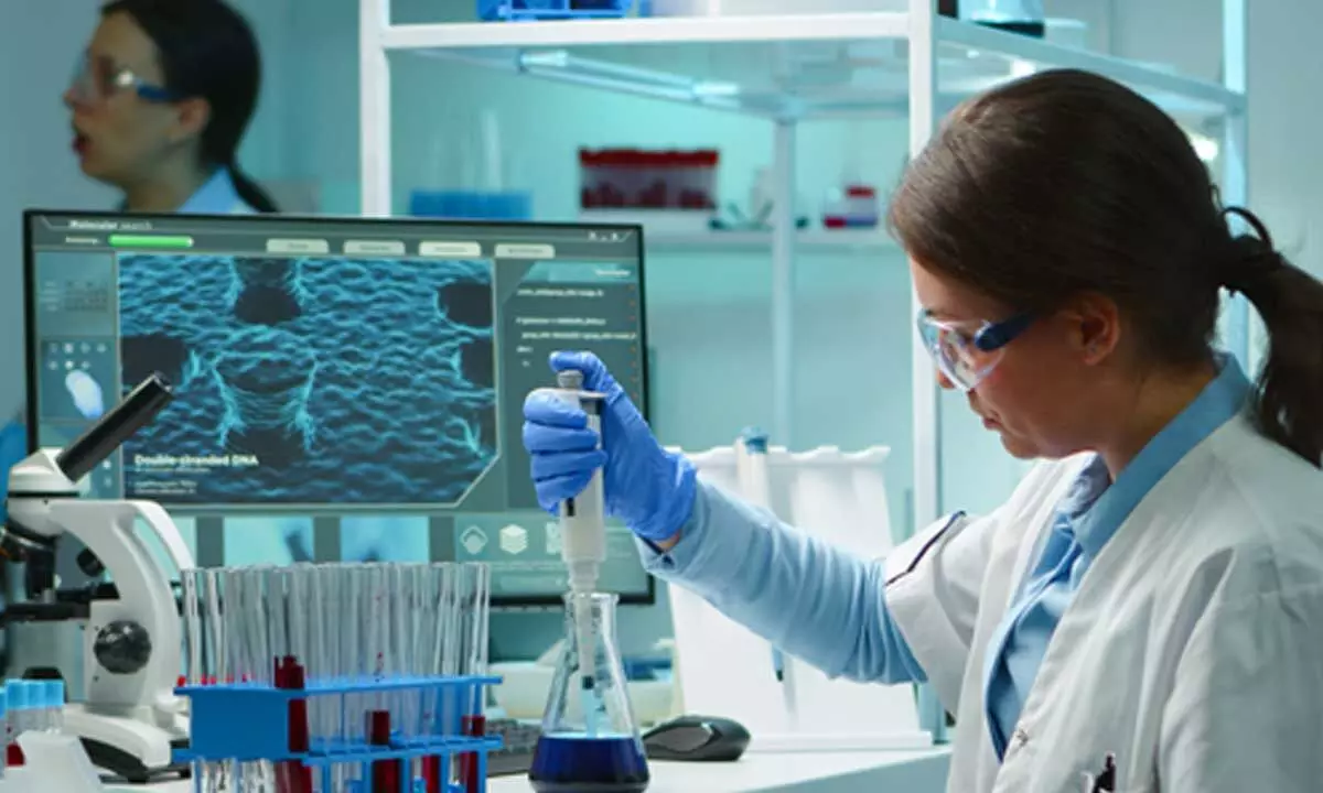 How a biotechnology degree empowers students to tackle air pollution, water purification