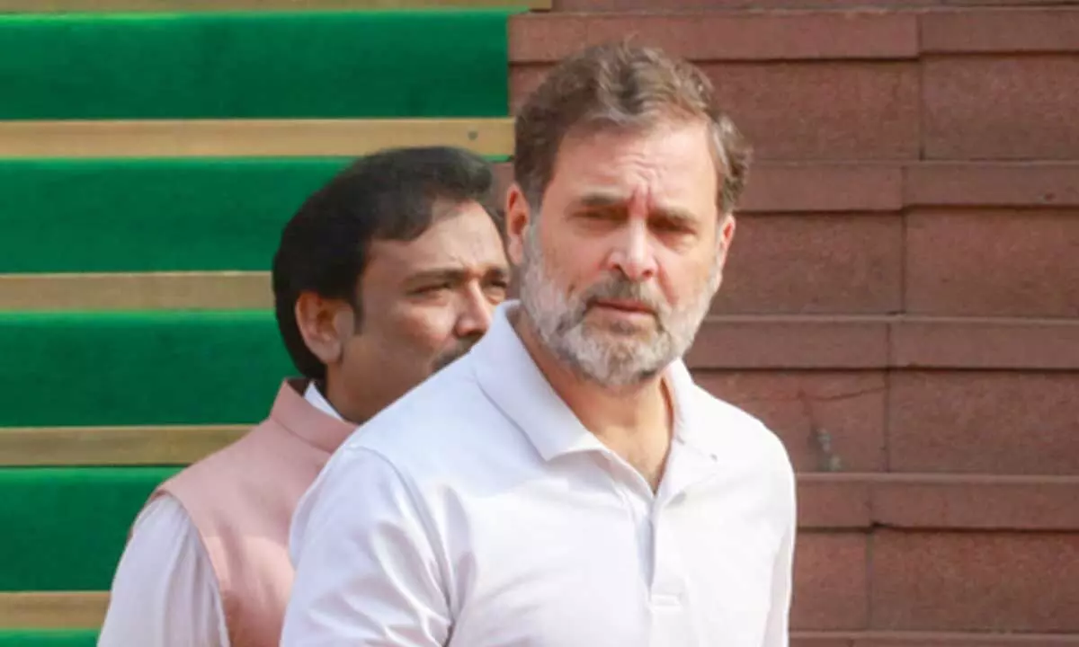 After ‘skipping’ key national events, can Rahul Gandhi question exclusion during Putin visit? After ‘skipping’ key national events, can Rahul Gandhi question exclusion during Putin visit?