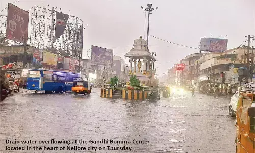 Heavy rains shatter Nellore