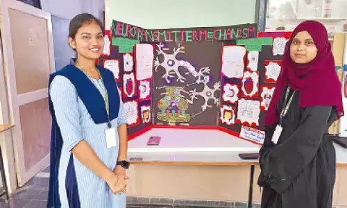 Cultural activities mark national pharmacy week celebrations