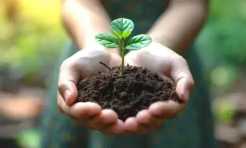 World Soil Day 2025: Theme, Significance, and Why Soil Health Matters More Than Ever