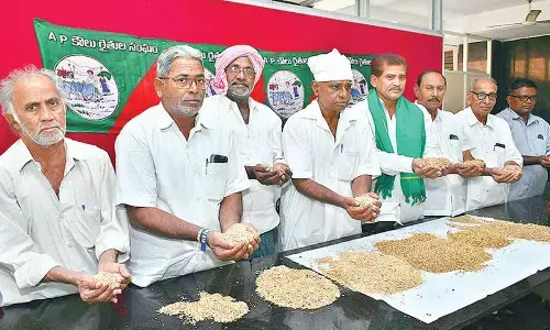 Farmers demand immediate procurement of paddy Farmers demand immediate procurement of paddy