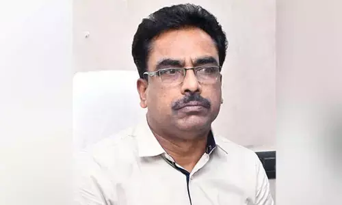 Tough action launched on sanitation & animal control: Commissioner