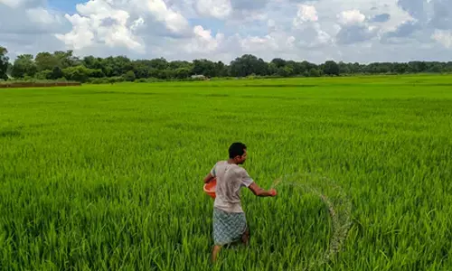 New joint venture in Russia to meet Indias growing fertiliser demand, ensure long-term supply