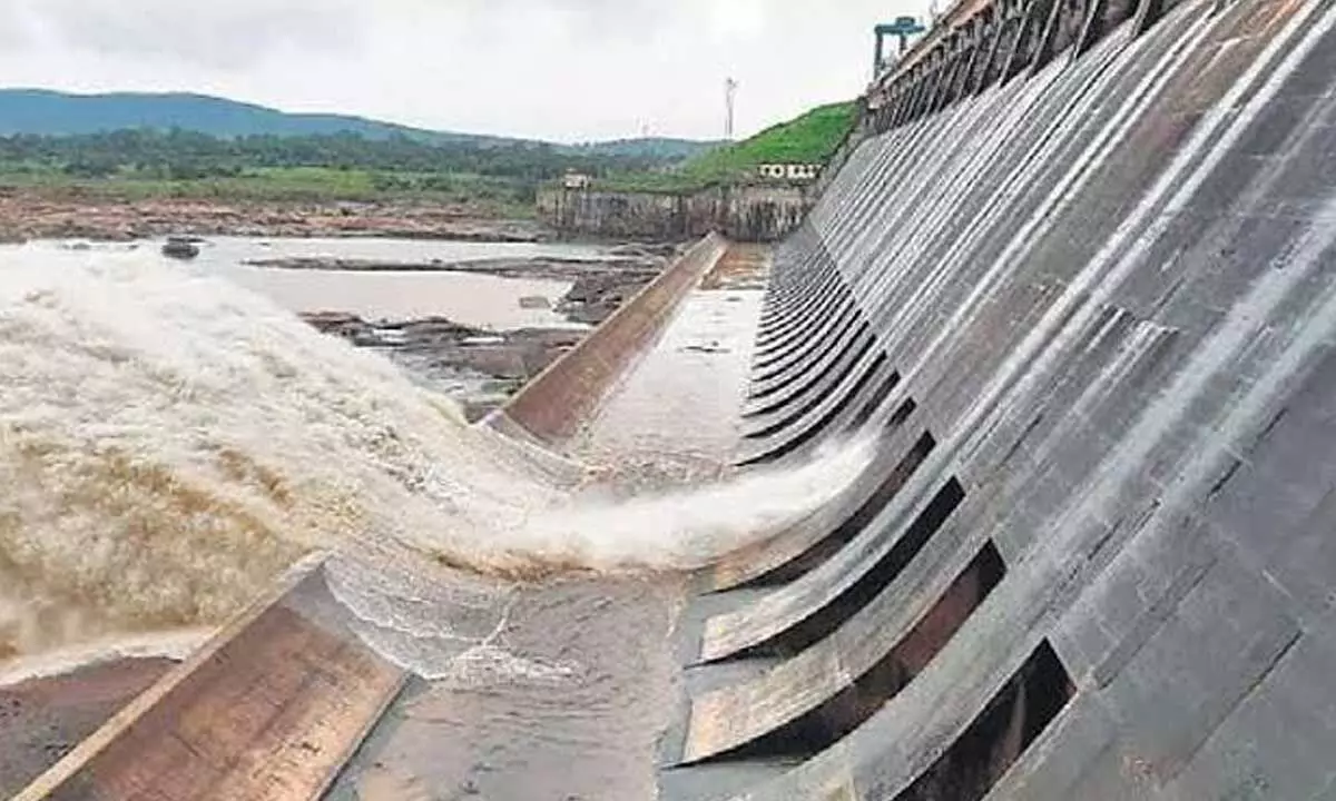 Concerns raised over siltation in Hirakud dam