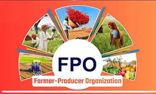 Centre integrates FPOs to fortify national agricultural value chains Centre integrates FPOs to fortify national agricultural value chains