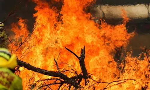 Bush fire destroys multiple homes in Australian state of New South Wales