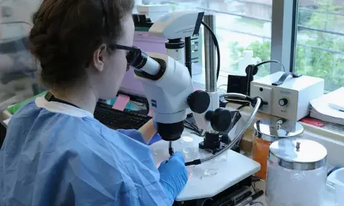 Unlocking Scientific Potential: How To Source Reliable Peptides Online Unlocking Scientific Potential: How To Source Reliable Peptides Online