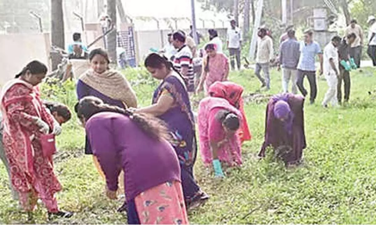 Swarnandhra Swachh Andhra programme held Swarnandhra Swachh Andhra programme held