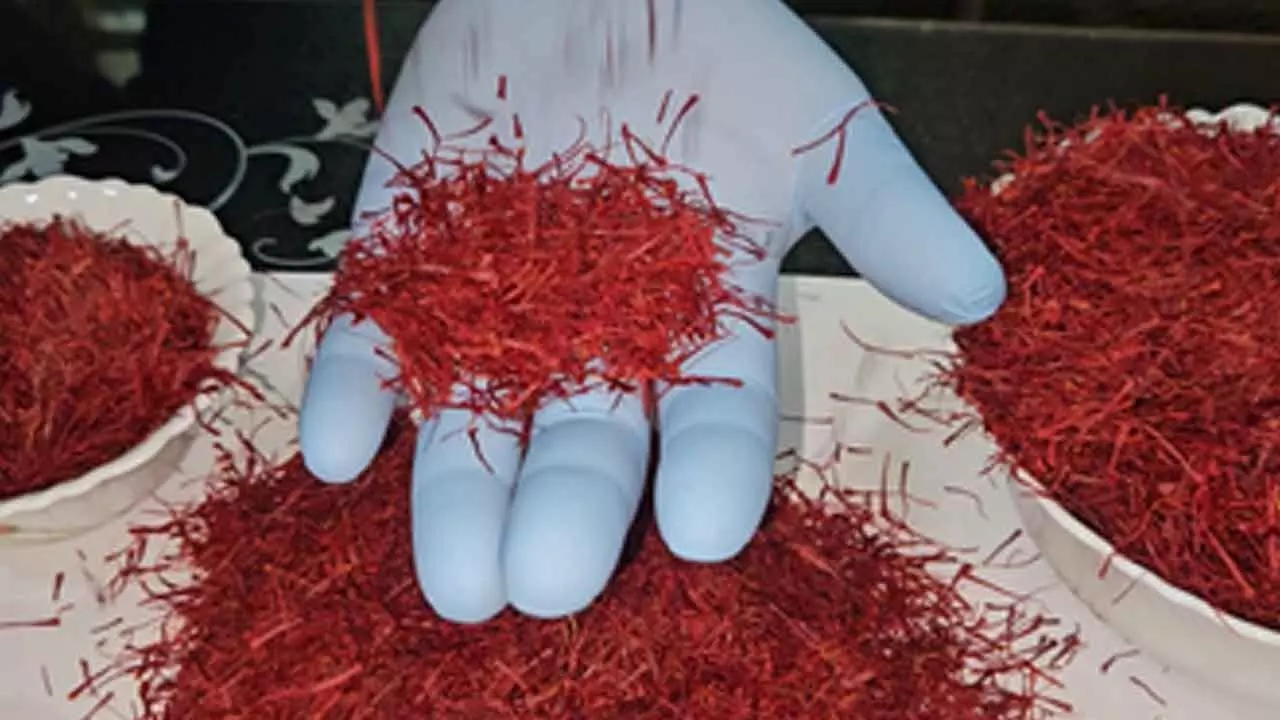 J&K residents joyous, hopeful of high demand after PM Modi gifts Kashmiri saffron to Putin