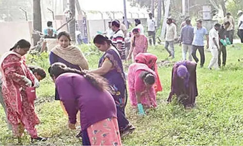 Swarnandhra Swachh Andhra programme held Swarnandhra Swachh Andhra programme held