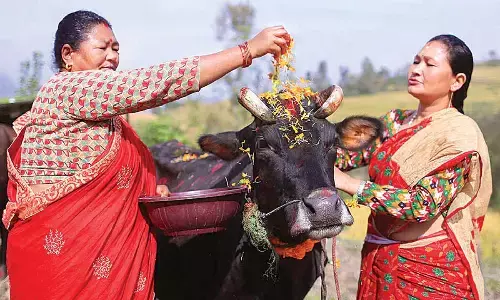 Panchagavya in sodasa Samskmras: Ancient wellness code Panchagavya in sodasa Samskmras: Ancient wellness code