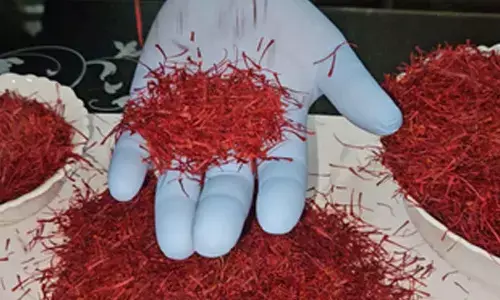 J&K residents joyous, hopeful of high demand after PM Modi gifts Kashmiri saffron to Putin J&K residents joyous, hopeful of high demand after PM Modi gifts Kashmiri saffron to Putin