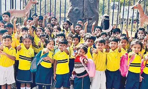 Decent Concept School’s kids go on Botanical Garden trip Decent Concept School’s kids go on Botanical Garden trip