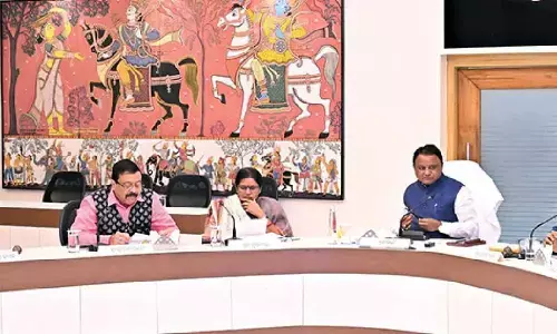 Two schemes to boost silk production