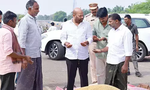 MLA offers to solve paddy moisture problem MLA offers to solve paddy moisture problem
