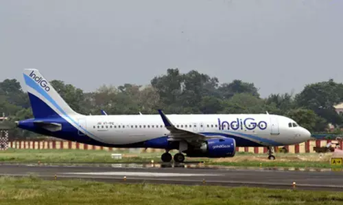 IndiGo flights may continue to experience delays: Delhi Airport
