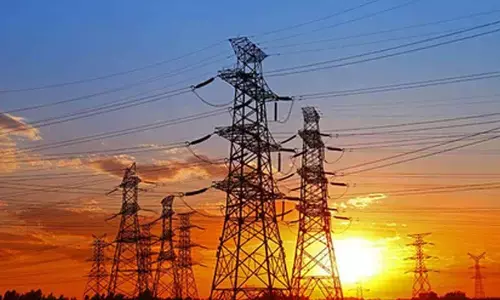 India achieved 50 pc of electricity capacity from non-fossil fuels, boosted carbon sink: Govt