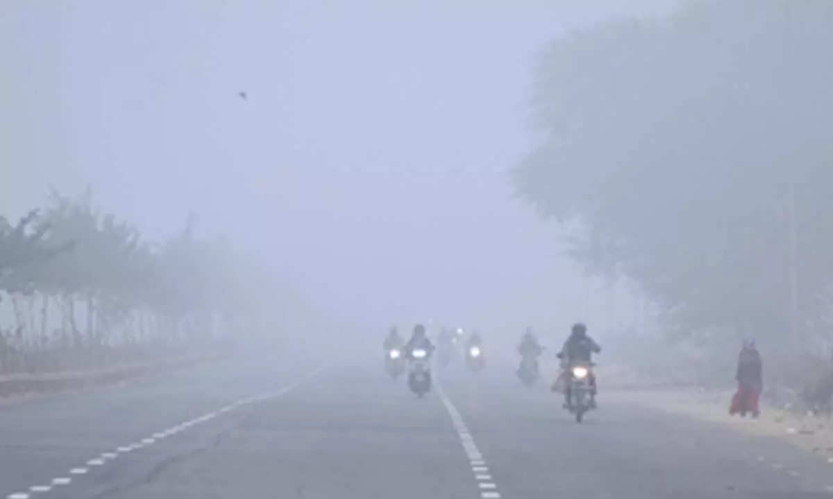 Yellow alert for cold wave in five Rajasthan districts Yellow alert for cold wave in five Rajasthan districts