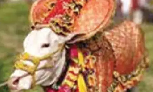 Hori Habba gets High Court nod across state with strict conditions