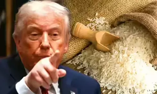 Trump Signals Possible Review Of Rice Imports As US Looks To Support Farmers Trump Signals Possible Review Of Rice Imports As US Looks To Support Farmers