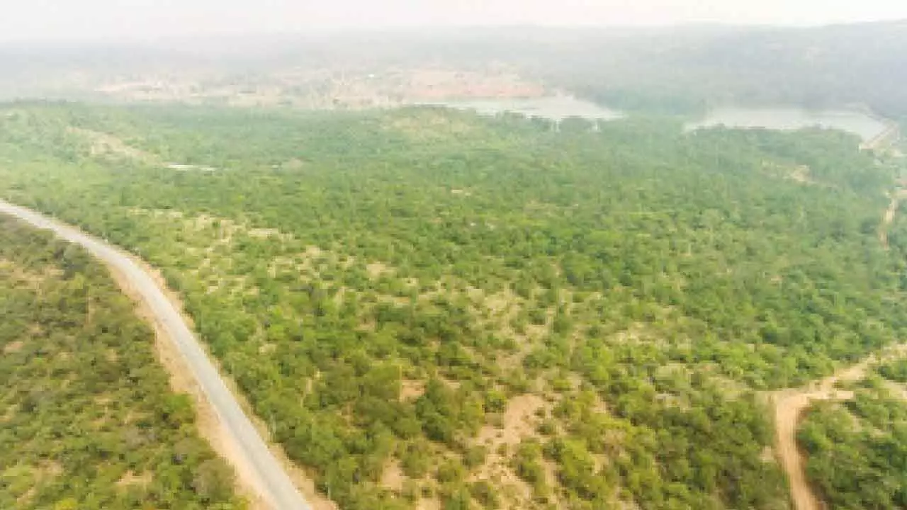 Khandre seeks CID probe into ‘encroachment’ of 482 acres of forest land Khandre seeks CID probe into ‘encroachment’ of 482 acres of forest land