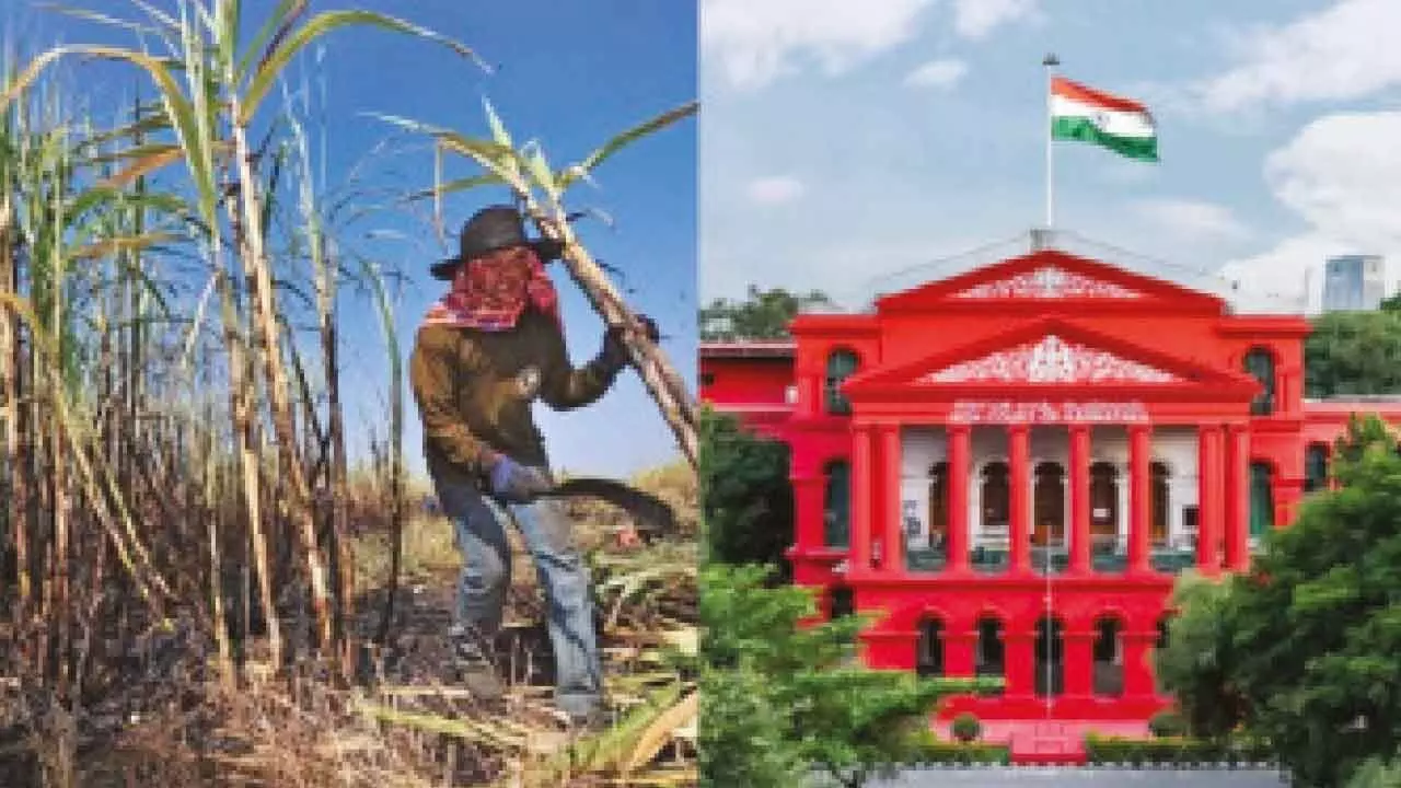 High Court refuses interim stay on sugarcane price order
