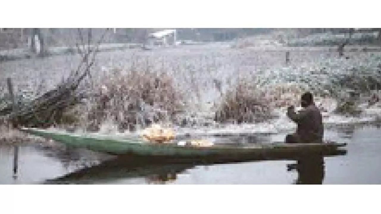 Biting cold grips Kashmir, mercury below freezing point in several areas Biting cold grips Kashmir, mercury below freezing point in several areas