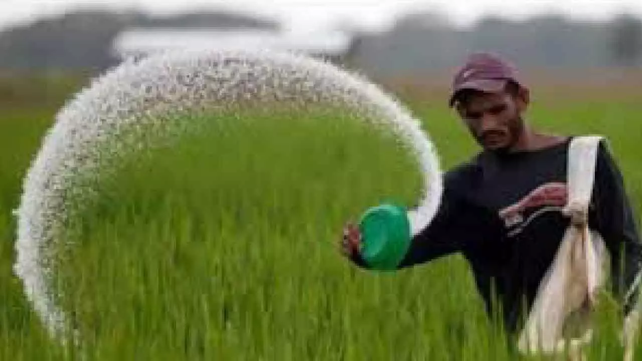 Govt cancelled 5,371 licences of fertiliser firms for malpractices Govt cancelled 5,371 licences of fertiliser firms for malpractices