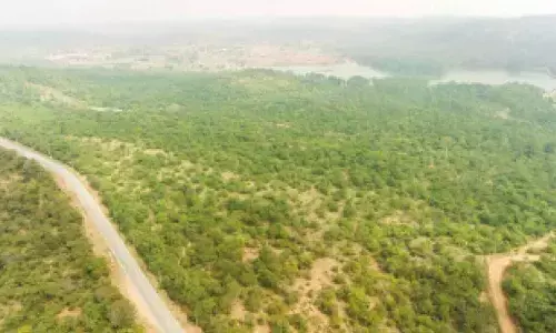 Khandre seeks CID probe into ‘encroachment’ of 482 acres of forest land Khandre seeks CID probe into ‘encroachment’ of 482 acres of forest land