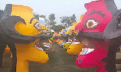 Villagers burn effigies of environmentalists Villagers burn effigies of environmentalists