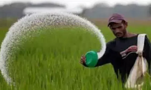 Govt cancelled 5,371 licences of fertiliser firms for malpractices Govt cancelled 5,371 licences of fertiliser firms for malpractices