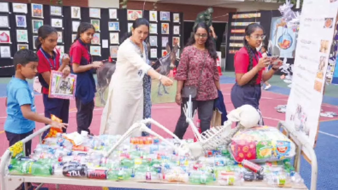 Meru Antargani Displays 3,000 Student Creations